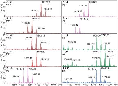 Lipid A structural diversity among members of the genus Leptospira